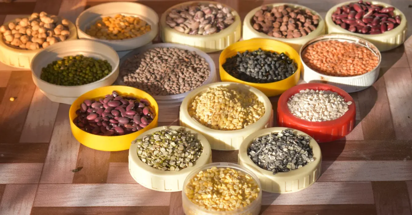 Pulses and Lentils Importer & Exporter in Dubai Pulses and Lentils Importer & Exporter in Dubai